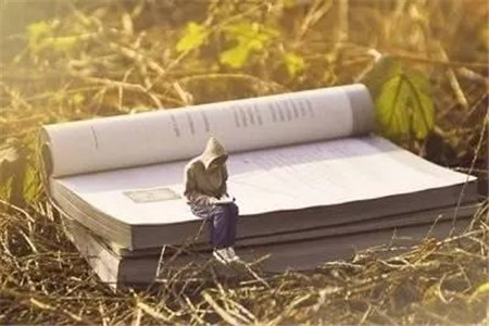 云南省成人高考招生層次有哪些？