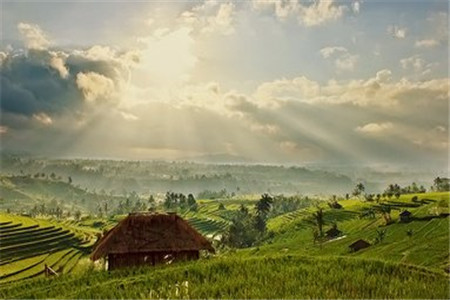 云南成人高考網