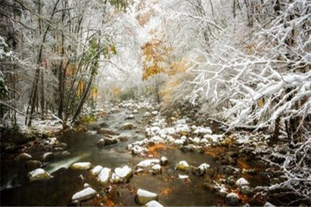 云南省成人高考上課是怎么上的？