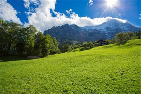 怎樣可以提高云南成人高考調(diào)劑錄取的成功率？