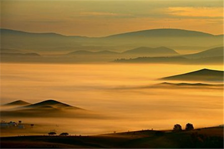 【云南財經大學】成人高考最容易通過的專業是？