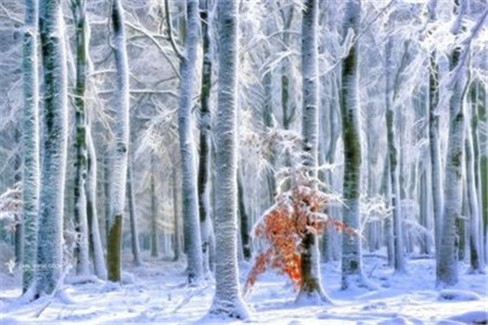 該什么時候開始準備云南成人高考報名？現在準備會不會為時過早？