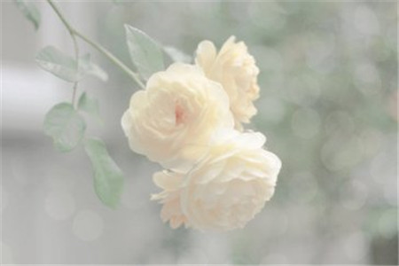 云南成人高考試題簡單，錄取分數線低，隨便考考就能過嗎？