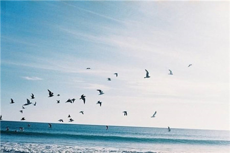 云南財經大學成人高考學費貴嗎？分別是多少錢？