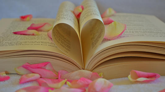 云南成人高考網(wǎng)上報名