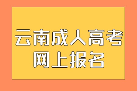 云南成人高考網上報名