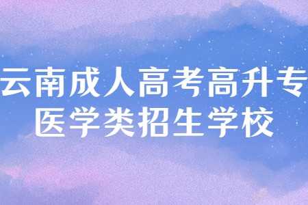 云南成人高考高升專醫學類招生學校