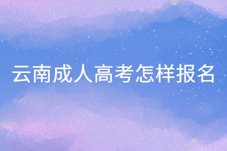 云南成人高考怎樣報名