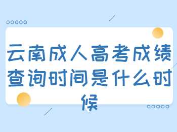 云南成人高考成績查詢