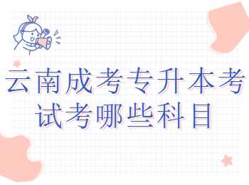 云南成考專升本