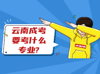 云南成考要考什么專業?