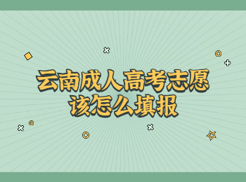 云南成考 云南成人高考志愿