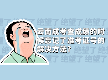 云南成考 云南成考準考證號  