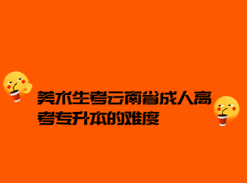 美術生考云南辛苦專升本的難度