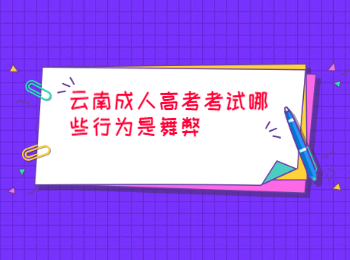云南成人高考考試行為