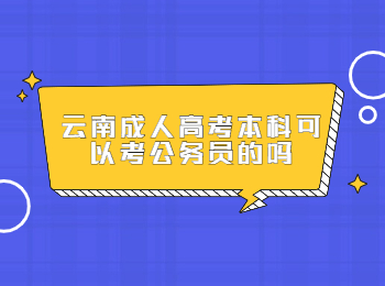 云南成人高考本科