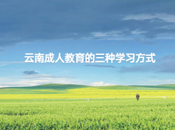 云南成教學習方式