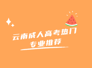 云南成人高考熱門專業