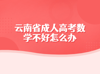 云南省成人高考數學