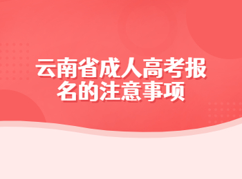 云南省成人高考報名