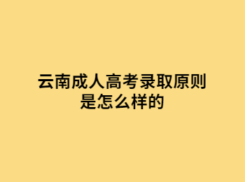 云南成人高考錄取原則