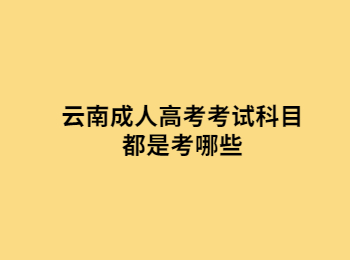 云南成人高考考試科目