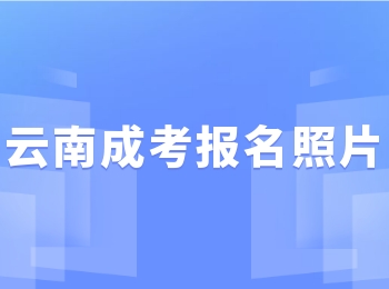 云南成人高考