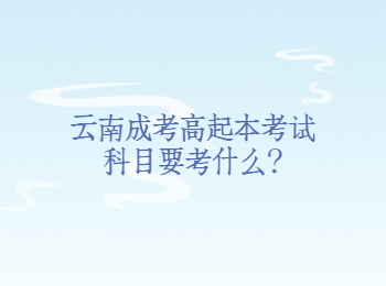 云南成考高起本考試科目