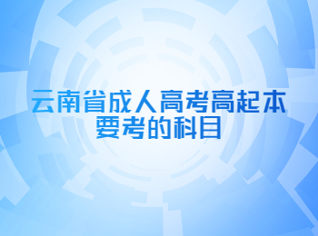 云南省成人高考高起本