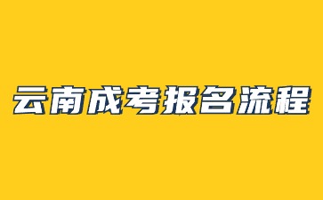 2024年云南成人高考報(bào)名流程步驟解析？
